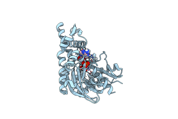 7F4X image