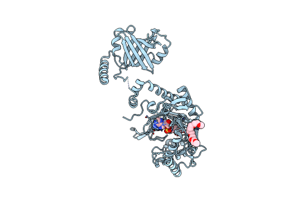 7F6W image
