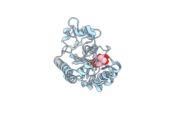 7F7B image
