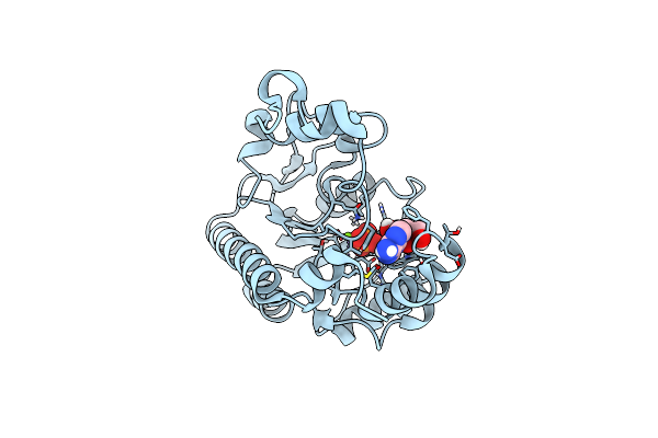 7F7C image