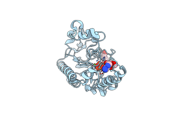 7F7D image