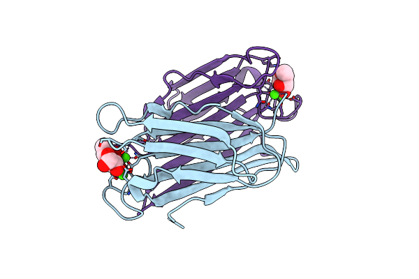 7F9G image