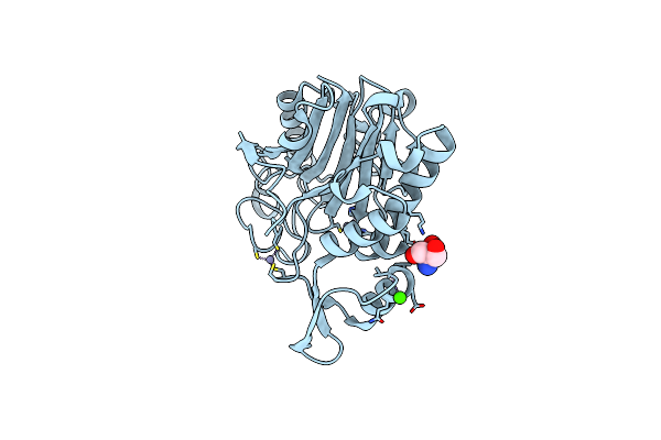 7FBG image