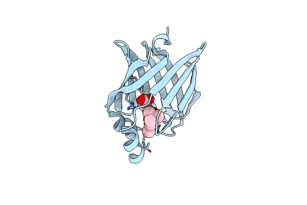 7FBM image