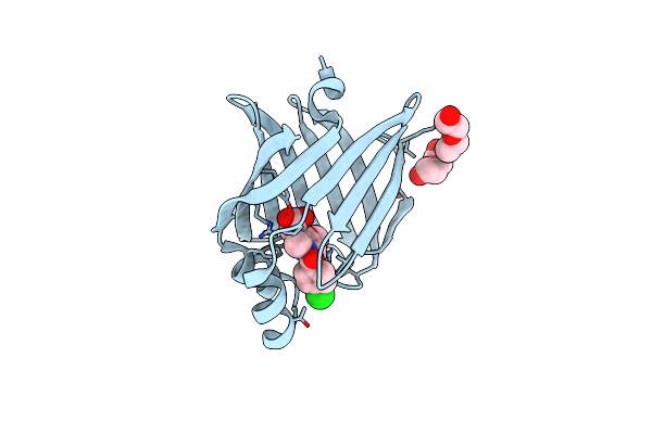 7FCG image