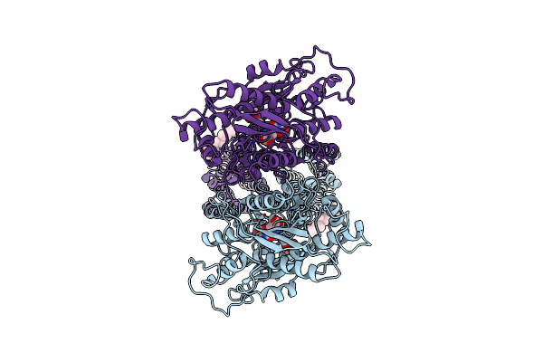 7FD8 image