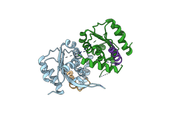 7FDM image