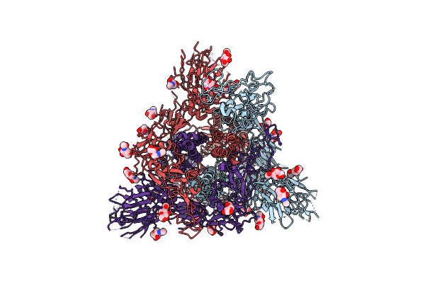 7FET image