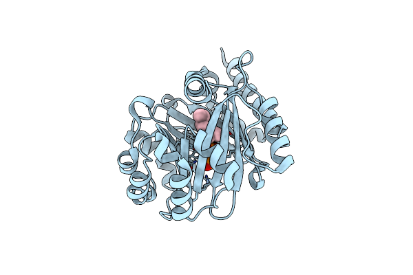 7FHB image