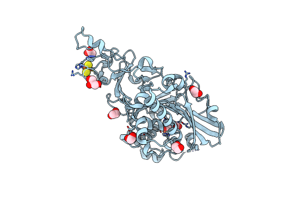 7FHR image