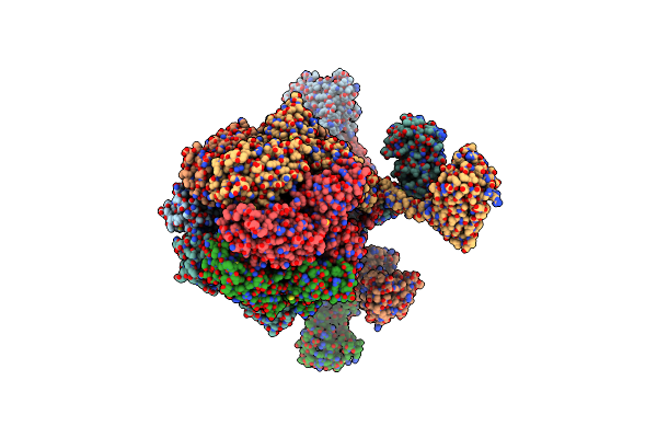7FID image