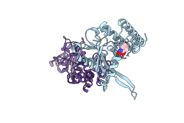 7FLG image
