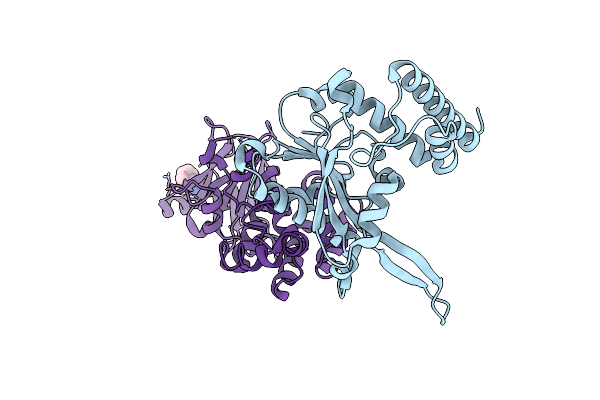 7FLO image