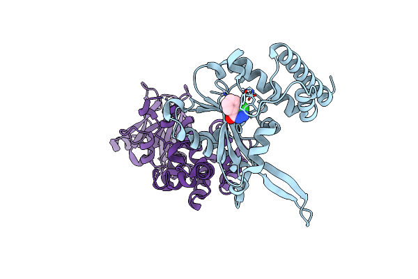 7FLX image
