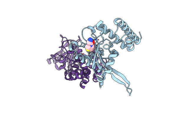 7FOO image