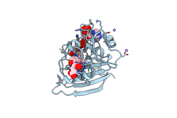 7FPM image