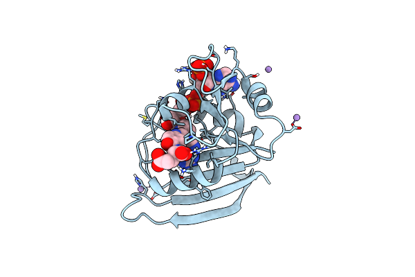 7FPO image