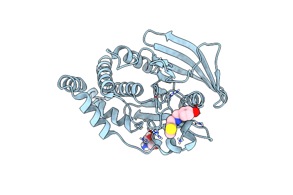 7FQM image