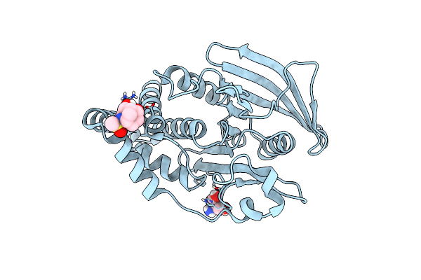 7FQN image