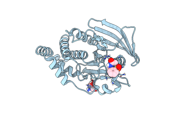 7FQP image