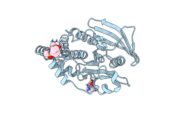 7FQQ image