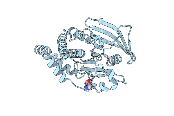 7FRE image