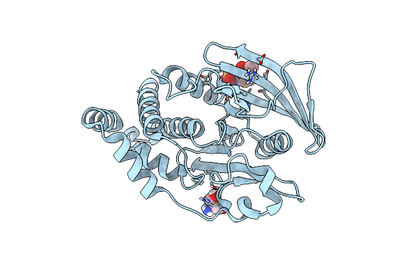 7FRF image