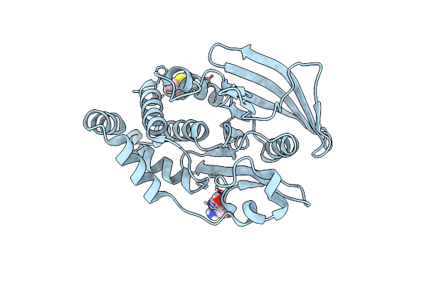 7FRG image