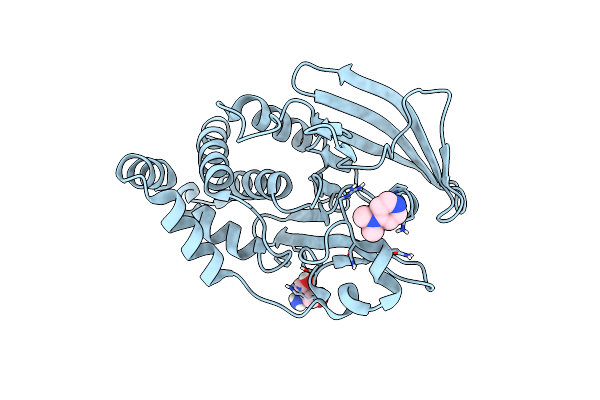 7FRH image