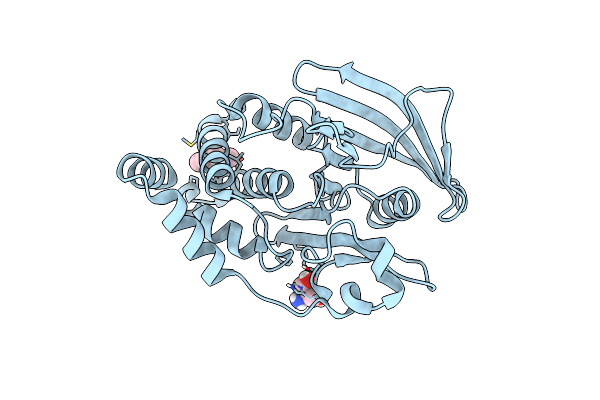 7FRJ image