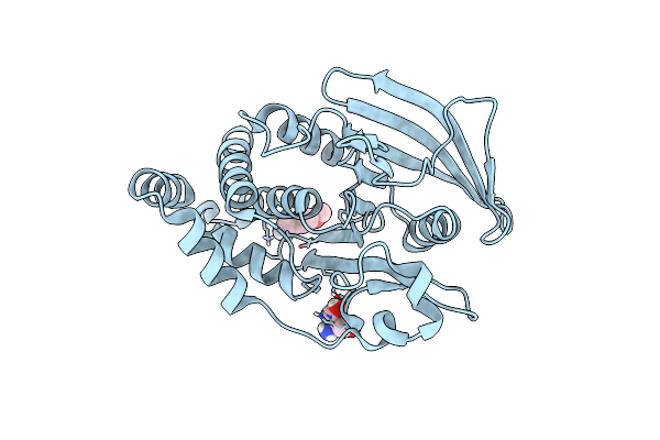 7FRL image