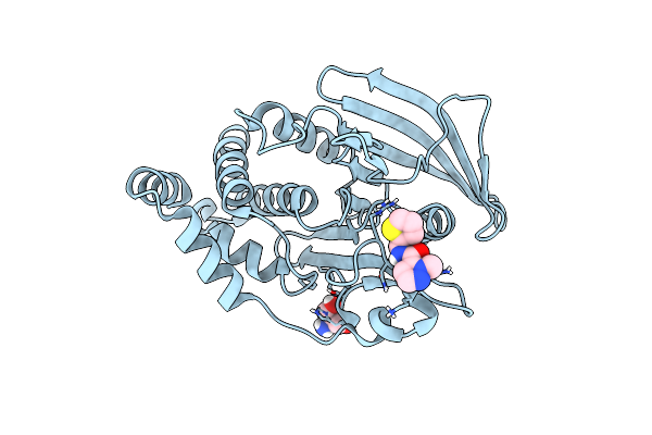 7FRN image