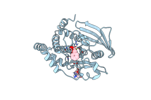7FRR image