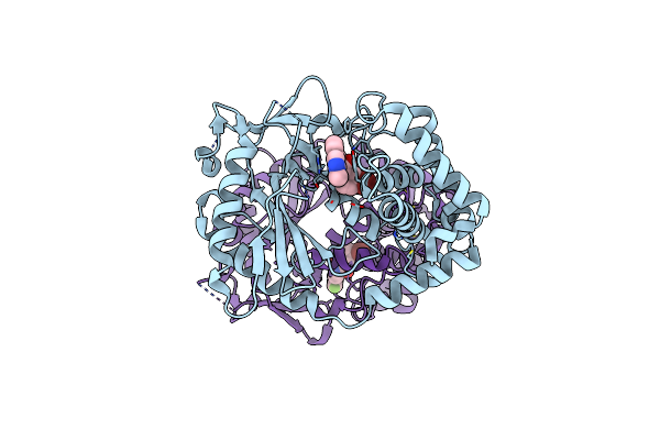 7FTT image