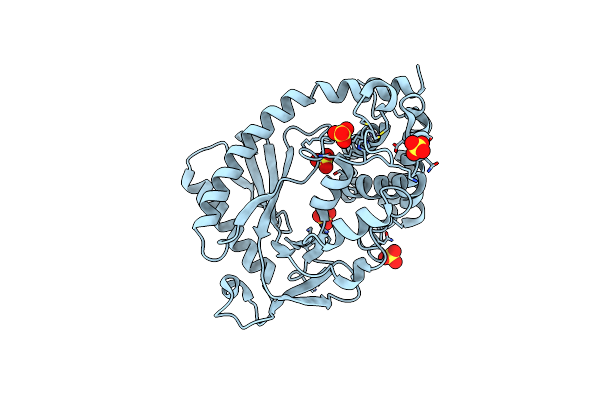 7FTX image
