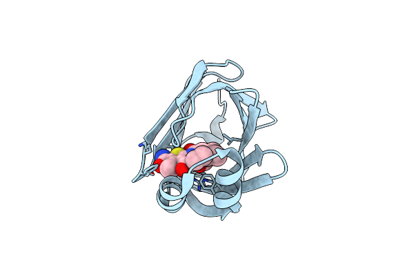 7FVV image