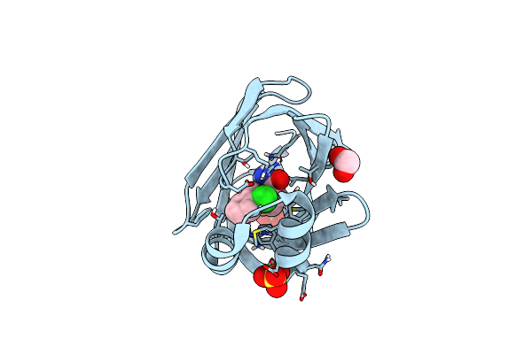 7FWK image