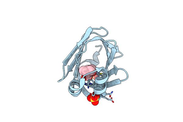 7FXM image