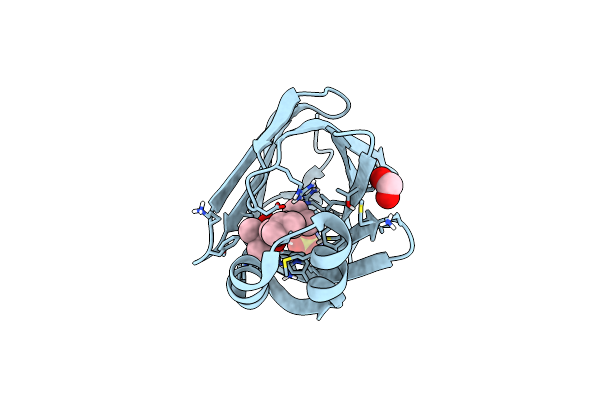 7G11 image