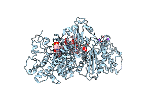 7G2H image
