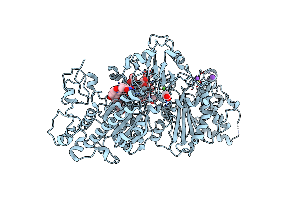 7G2O image