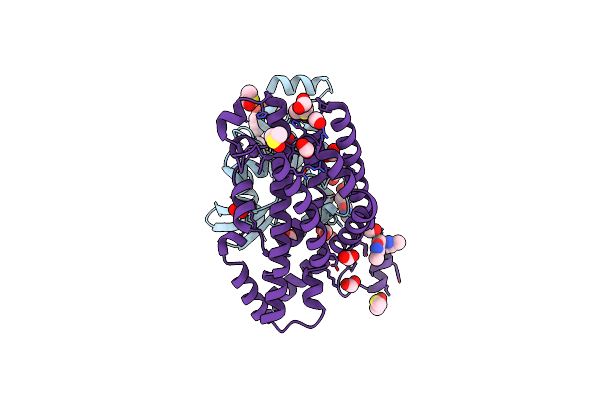 7G82 image
