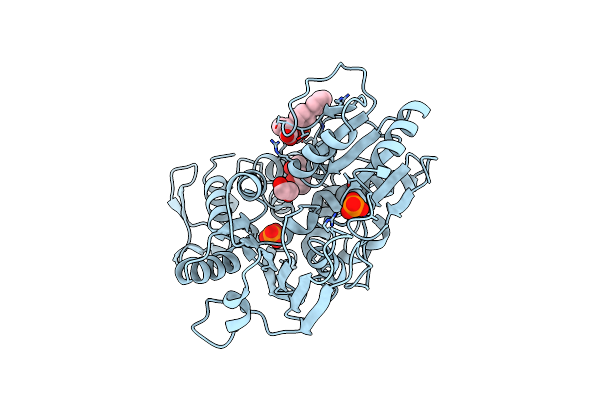 7G9L image