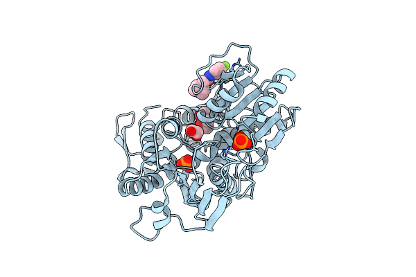 7G9N image