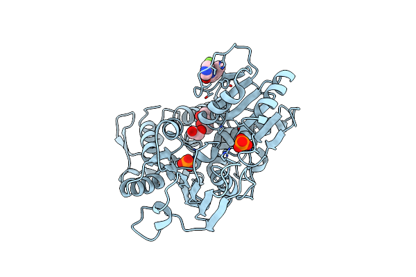 7G9P image