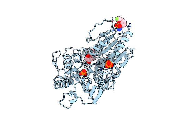 7G9R image
