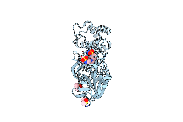 7GAZ image