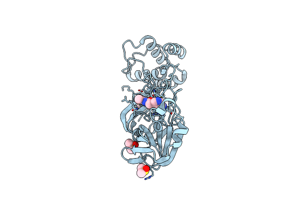 7GBC image