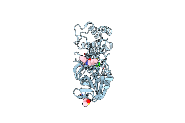 7GDD image