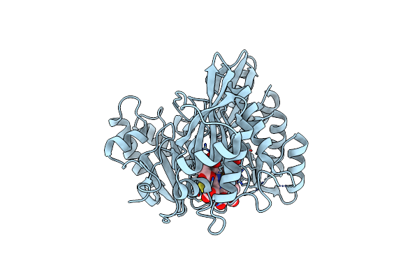 7GEP image